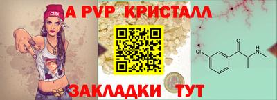герыч Кингисепп